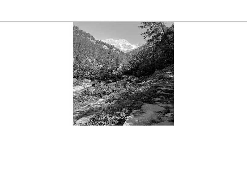 Eine bergige Landschaft mit vielen Bäumen und Felsen im Vordergrund, im Hintergrund schneebedeckte Gipfel.