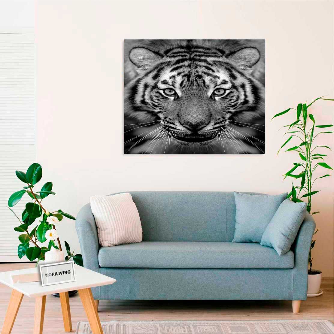 Wandbild über dem Sofa mit Motiv Tiger 249 schwarz-weiß