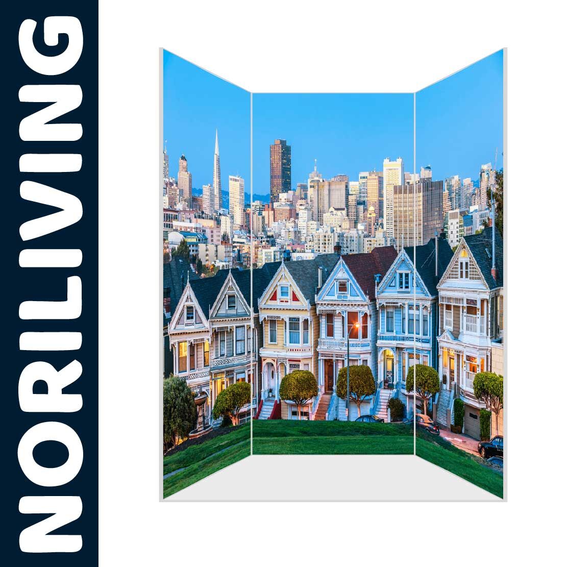 Abbildung einer Nischen-Duschrückwand mit Motiv Painted Ladies von San Francisco 547