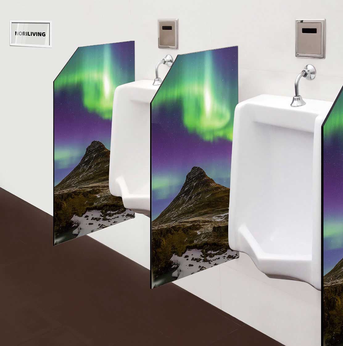 in der Toilette eingebaute Schamwand mit Motiv Nordlicht Aurora borealis 090