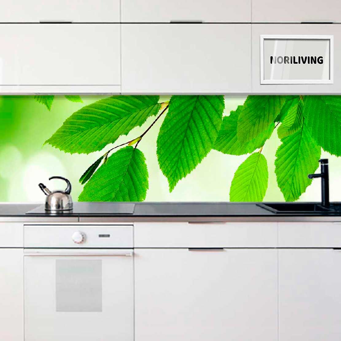 Moderne Küche mit Spritzschutz aus grünen Blättern