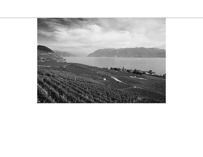 Weinberge erstrecken sich entlang eines Sees mit Bergen im Hintergrund, in Schwarz-Weiß aufgenommen