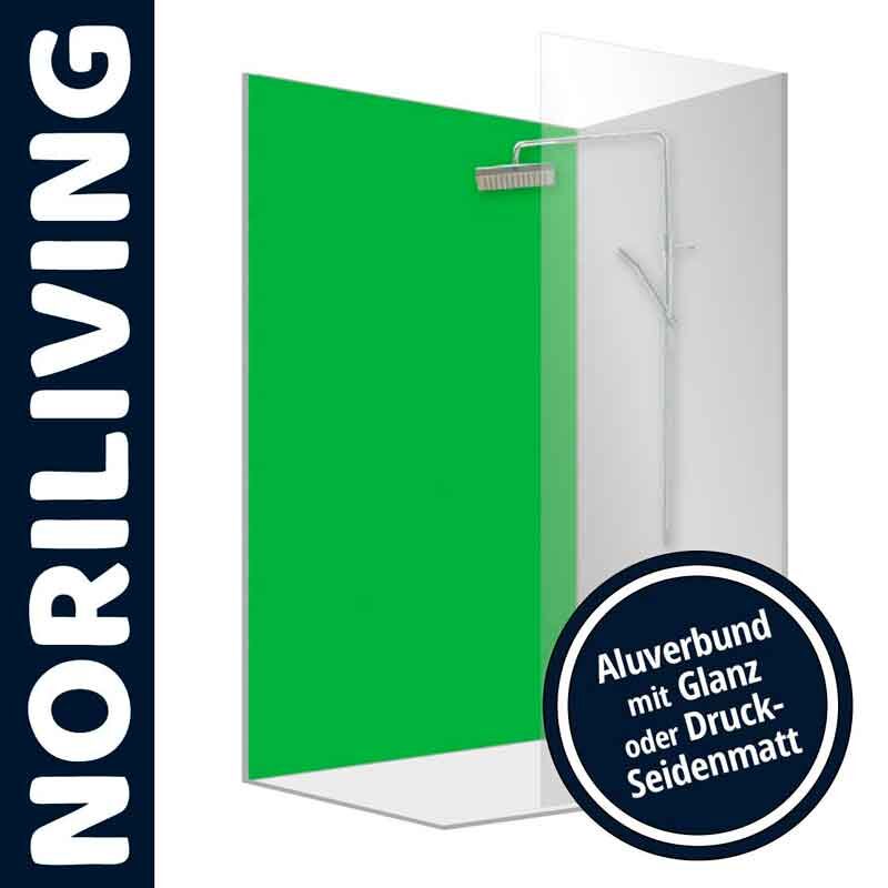 NORILIVING Duschkabine mit grünem Aluverbund und moderner Dusche