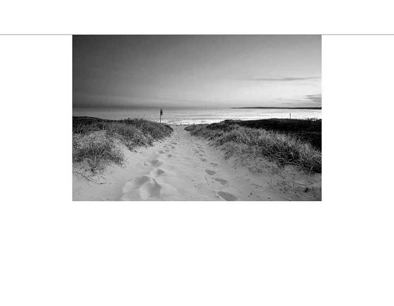 Ein Pfad führt durch Dünen zu einem ruhigen Strand mit Meerblick, in Schwarzweiß aufgenommen.