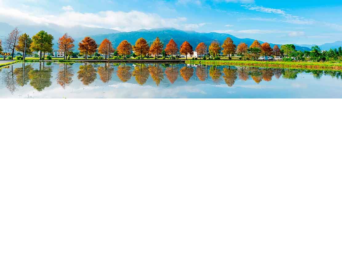 Eine Reihe bunter Herbstbäume spiegelt sich in einem stillen See vor einer Berglandschaft.