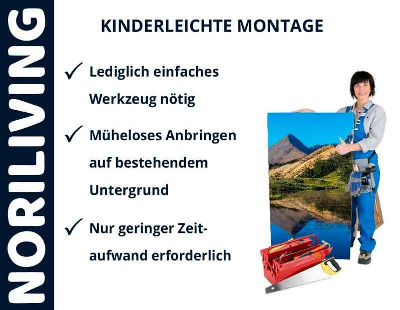 Person mit Werkzeugkasten hält ein Bild, Text beschreibt einfache Montage: lediglich einfaches Werkzeug nötig, müheloses Anbringen auf bestehendem Untergrund, nur geringer Zeitaufwand erforderlich.