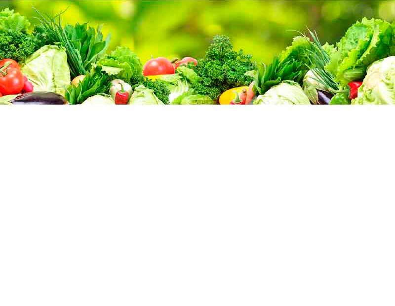 Verschiedene frische Gemüsesorten wie Salat, Tomaten und Kräuter auf einem Tisch mit grünem Hintergrund