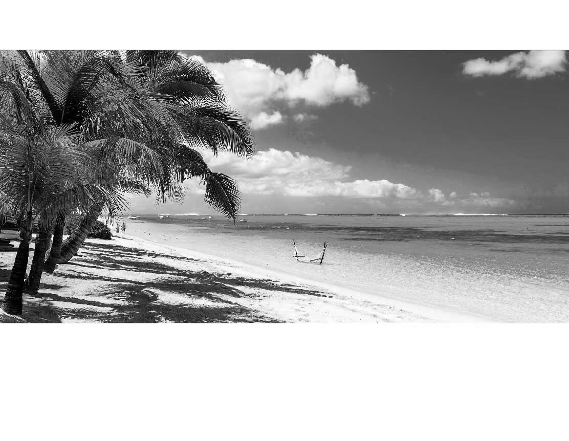 Ansicht des Duschrückwand-Motivs Strand mit türkisfarbenem Wasser Mauritius 714 schwarz-weiß