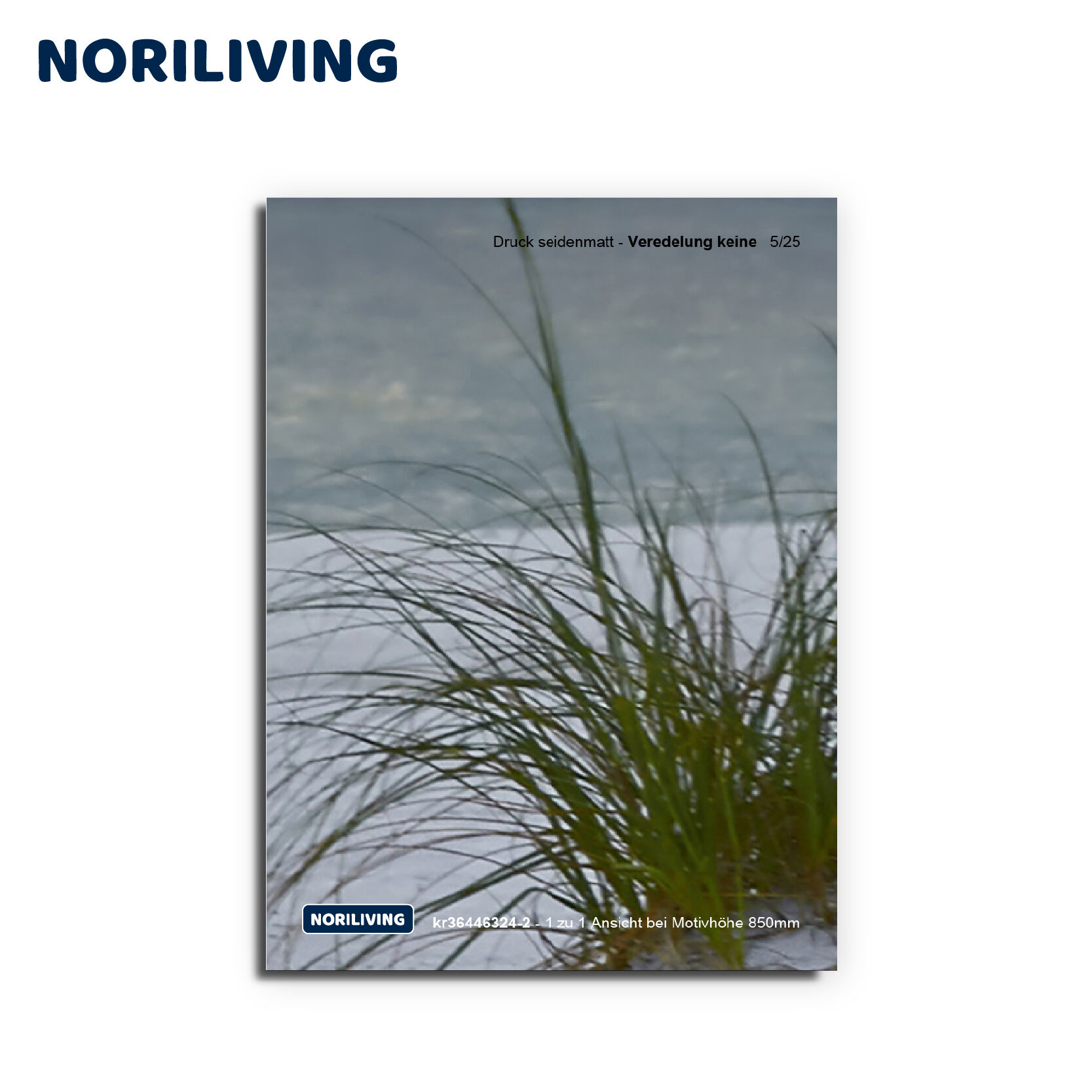 Nahaufnahme von Gras vor unscharfem Hintergrund auf einem seidenglänzenden Poster von NORILIVING