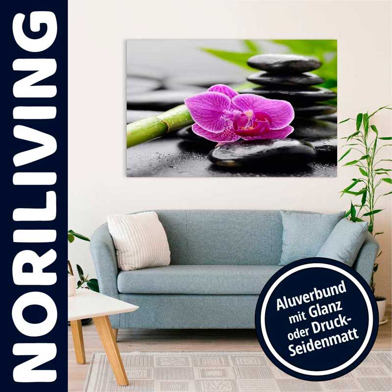 Wohnzimmer mit Wandbild einer pinken Orchidee auf Steinen, Aluverbund, Glanz oder Druck-Seidenmatt