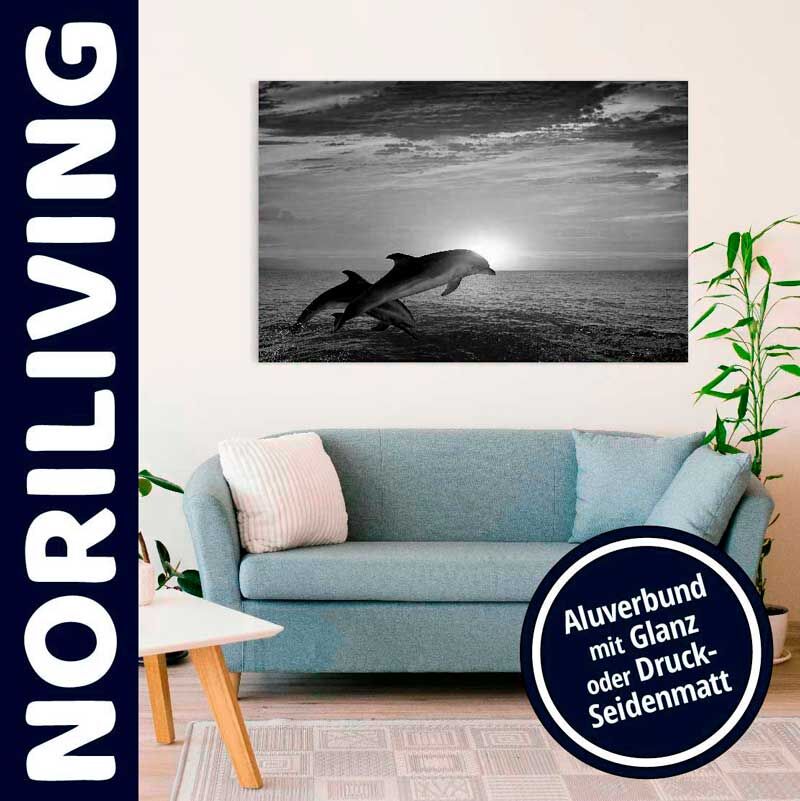 Stilvolles Wohnzimmer mit hellblauem Sofa und Delfin-Kunstdruck an der Wand, erhältlich bei Noriliving