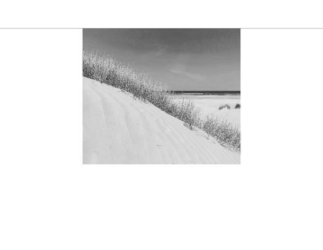 Sanddüne mit Gräsern am Strand, Meer im Hintergrund, schwarz-weiß