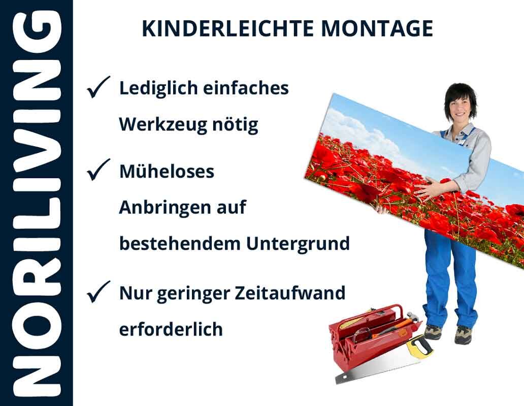 Werbung von Noriliving mit Montagehinweisen: Einfaches Werkzeug, mühelose Anbringung, geringer Zeitaufwand. Person hält ein großes Bild.