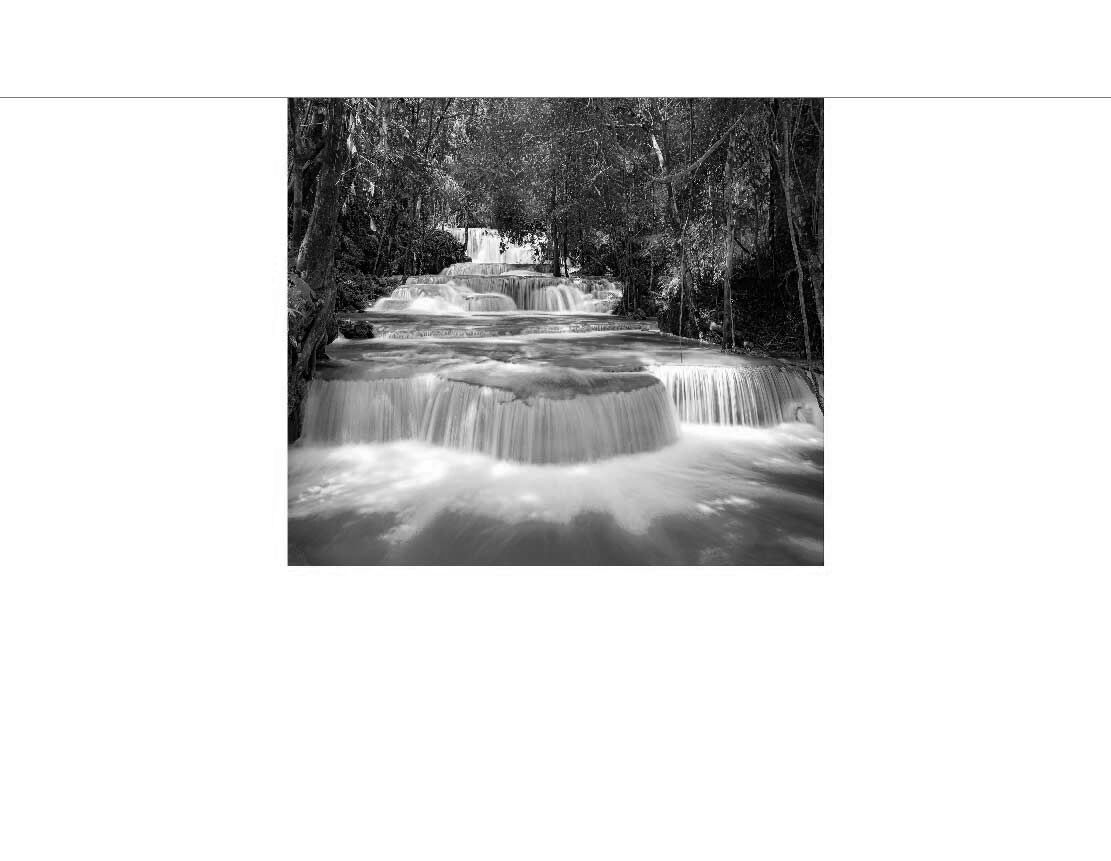 Ein ruhiger Kaskaden-Wasserfall in einem dichten Wald, in Schwarzweiß aufgenommen