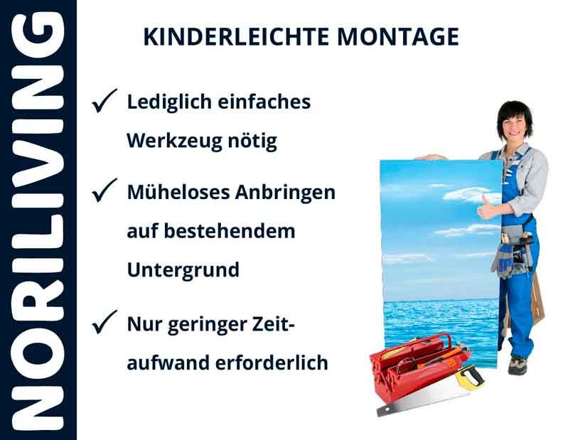 Person mit Bild, Werkzeugkasten und Noriliving-Schriftzug, textliche Anleitung zur leichten Montage