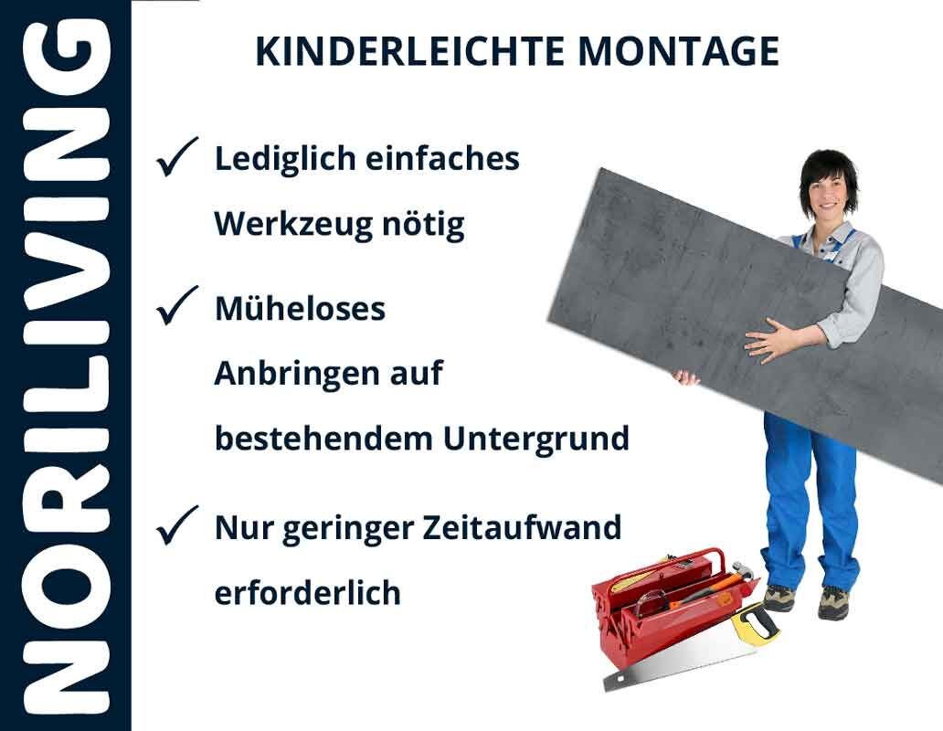 Person hält eine große Platte neben einer Werkzeugkiste. Text zeigt einfache Montage-Anleitung von Noriliving.