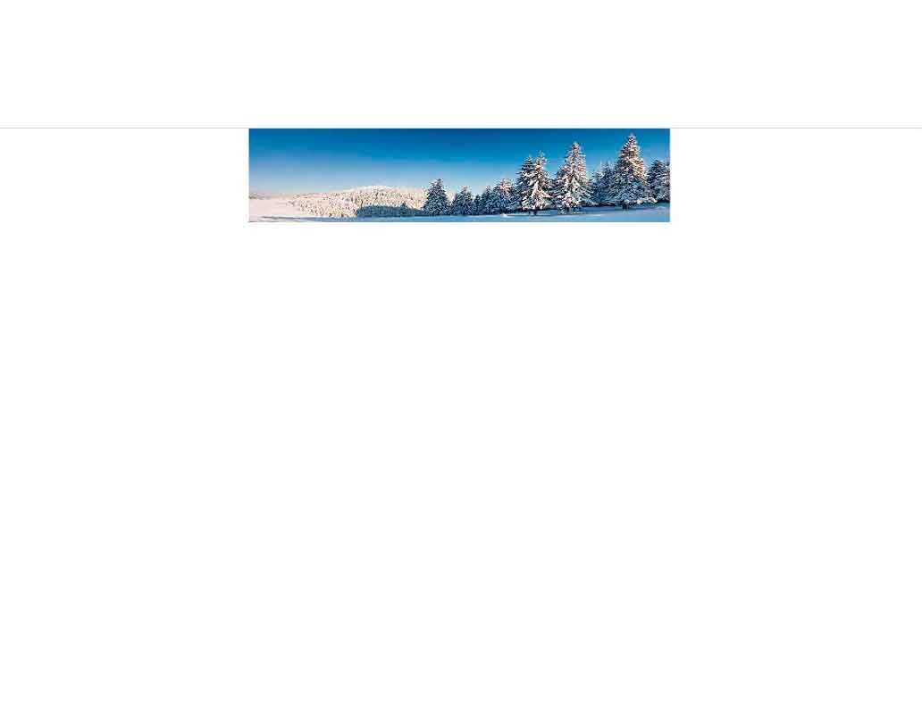 Verschneite Landschaft mit Tannenbäumen und blauem Himmel im Hintergrund