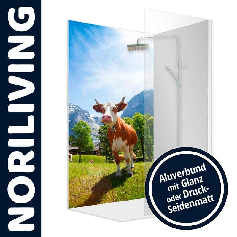 Duschabtrennung mit Bild einer Kuh auf Aluverbundplatte mit Glanz oder Druck-Seidenmatt