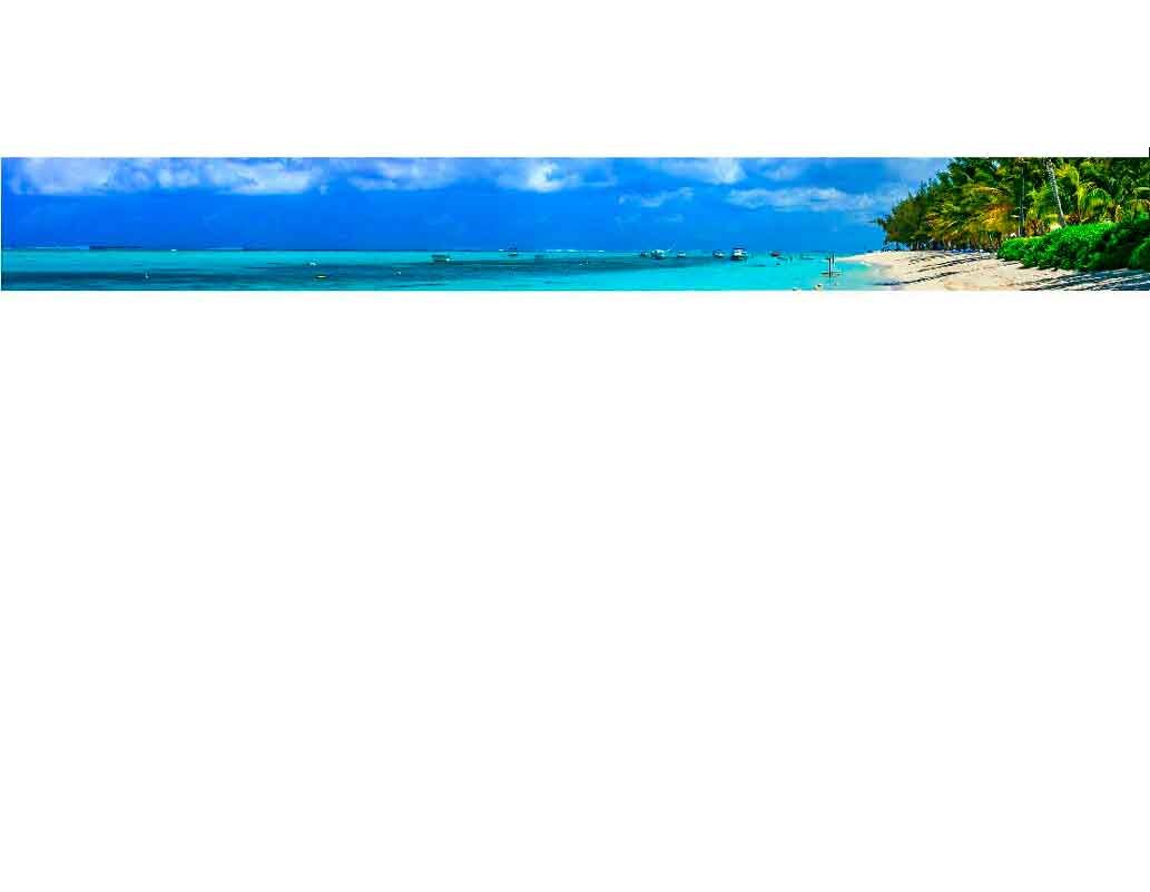 Panorama eines tropischen Strandes mit türkisblauem Wasser, Palmen und Booten am Horizont