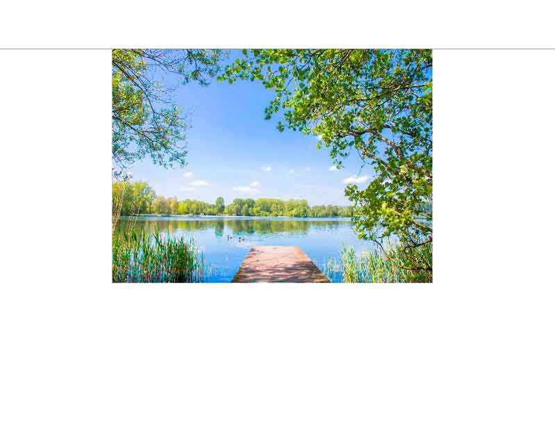 Ein ruhiger See an einem sonnigen Tag mit einem hölzernen Steg und umgeben von Bäumen und Schilfrohr