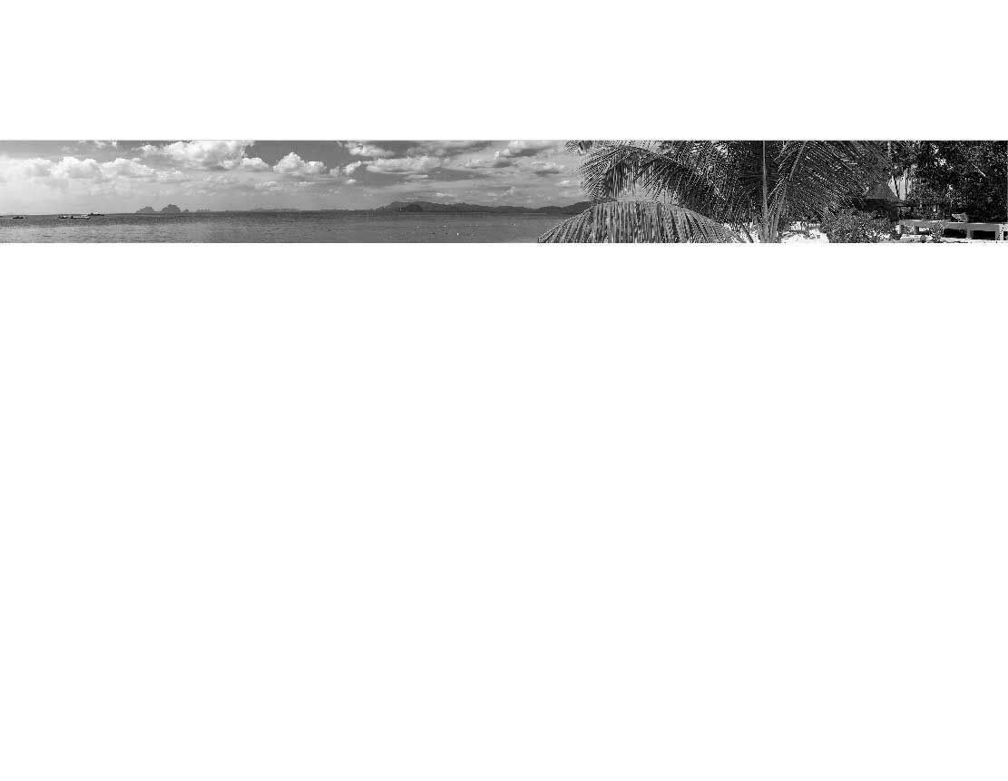 Panoramabild der Küste mit Palmen und Meer im Vordergrund, unter einem bewölkten Himmel.