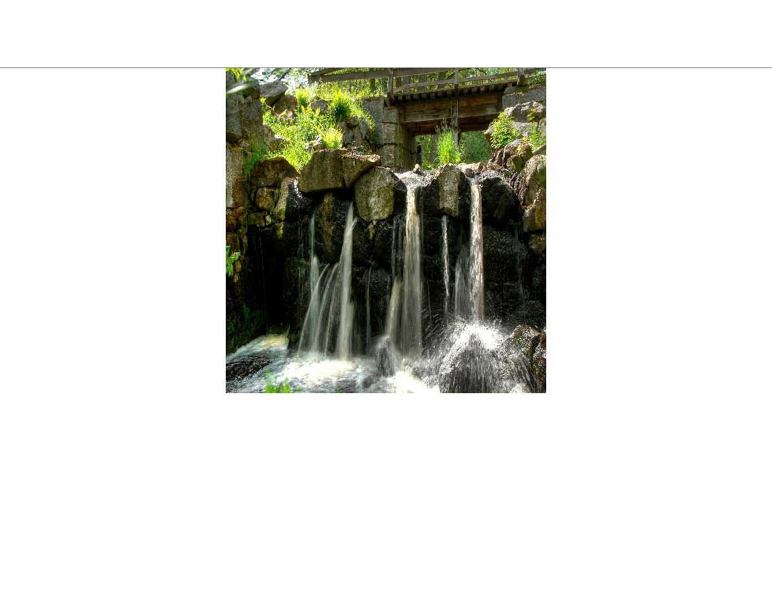 Ein kleiner Wasserfall, der über moosbewachsene Steine in einem grünen Wald fließt