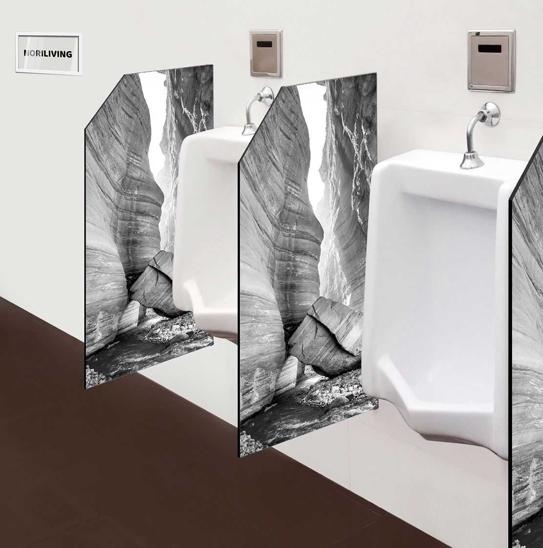 in der Toilette eingebaute Schamwand mit Motiv Wadi Hasa-Bach in Jordanien 257 schwarz-weiß