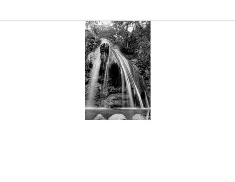 Ein beeindruckender Wasserfall, der in einem dichten Wald fließt, eingefangen in einer Schwarz-Weiß-Aufnahme.
