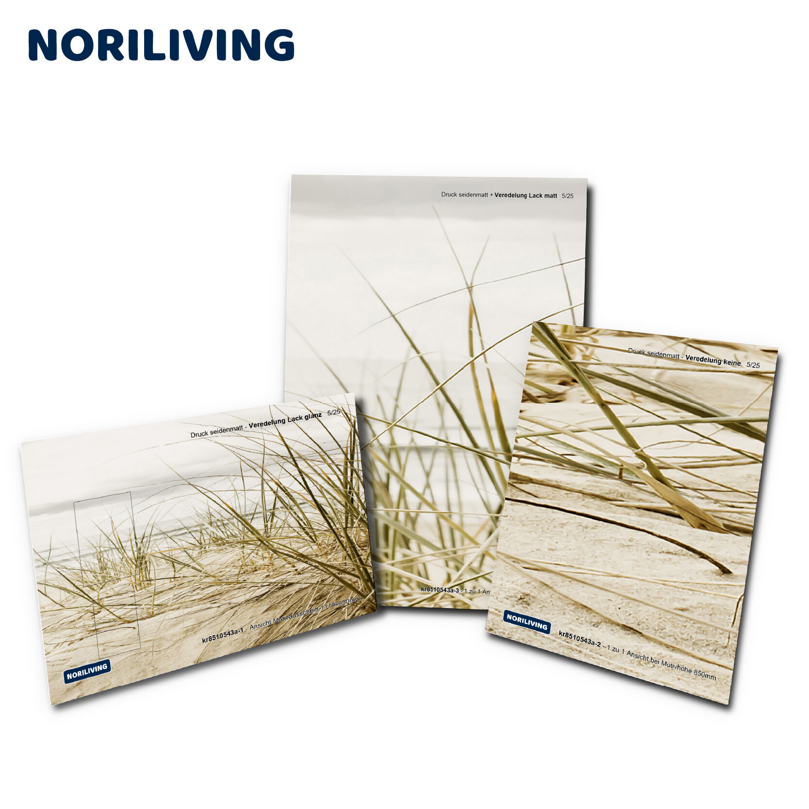 Drei Fotoleinwände von Noriliving mit Gräsern am Strand als Motiv