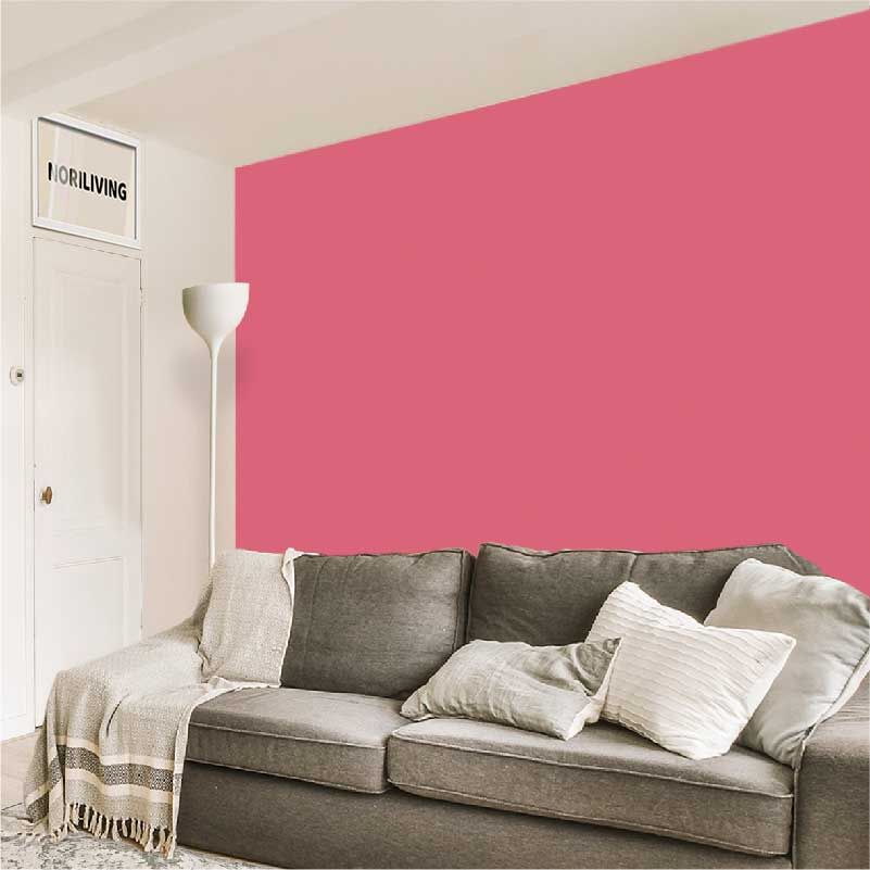 Wohnzimmerrückwand Alu Unifarbe Rosa 2364