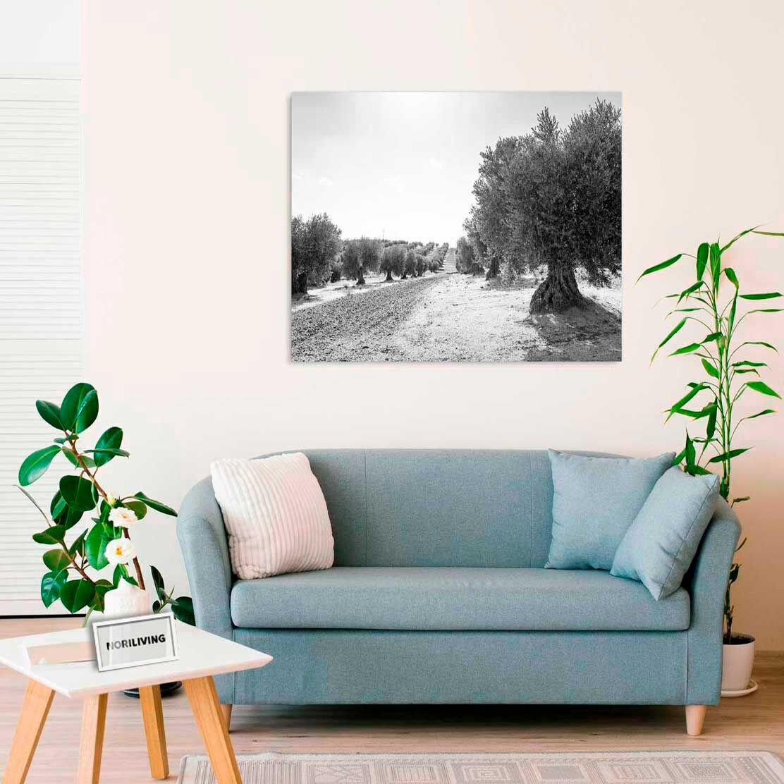 Wandbild über dem Sofa mit Motiv Olivenbäume in Reihe 731 schwarz-weiß