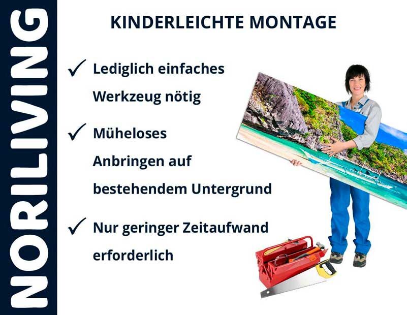 Frau mit Wandbild und Werkzeugkasten, Text: Kinderleichte Montage, lediglich einfaches Werkzeug nötig, müheloses Anbringen auf bestehendem Untergrund, geringer Zeitaufwand erforderlich, Noriliving
