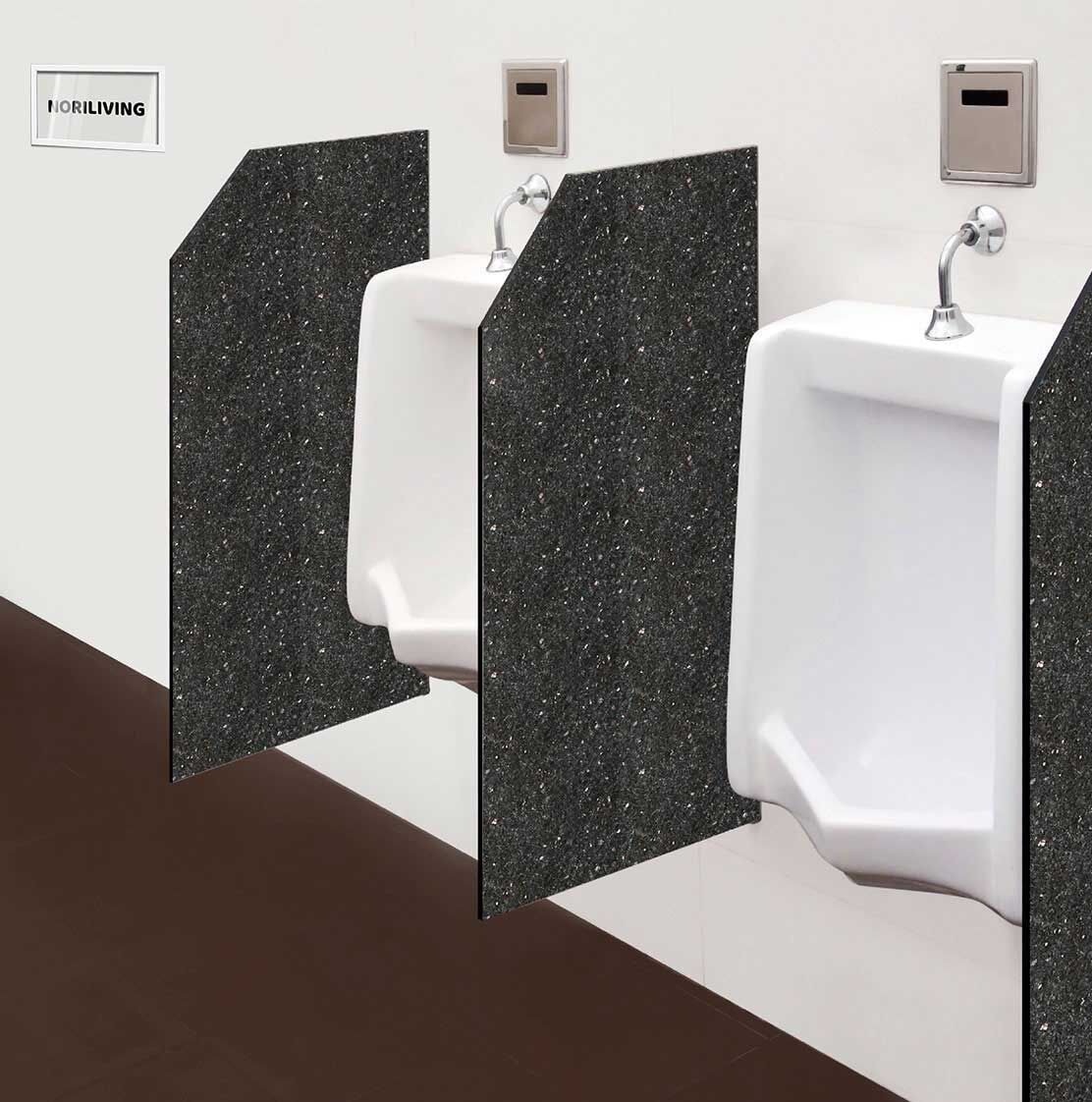 in der Toilette eingebaute Schamwand mit Motiv Schwarzer Granit 660