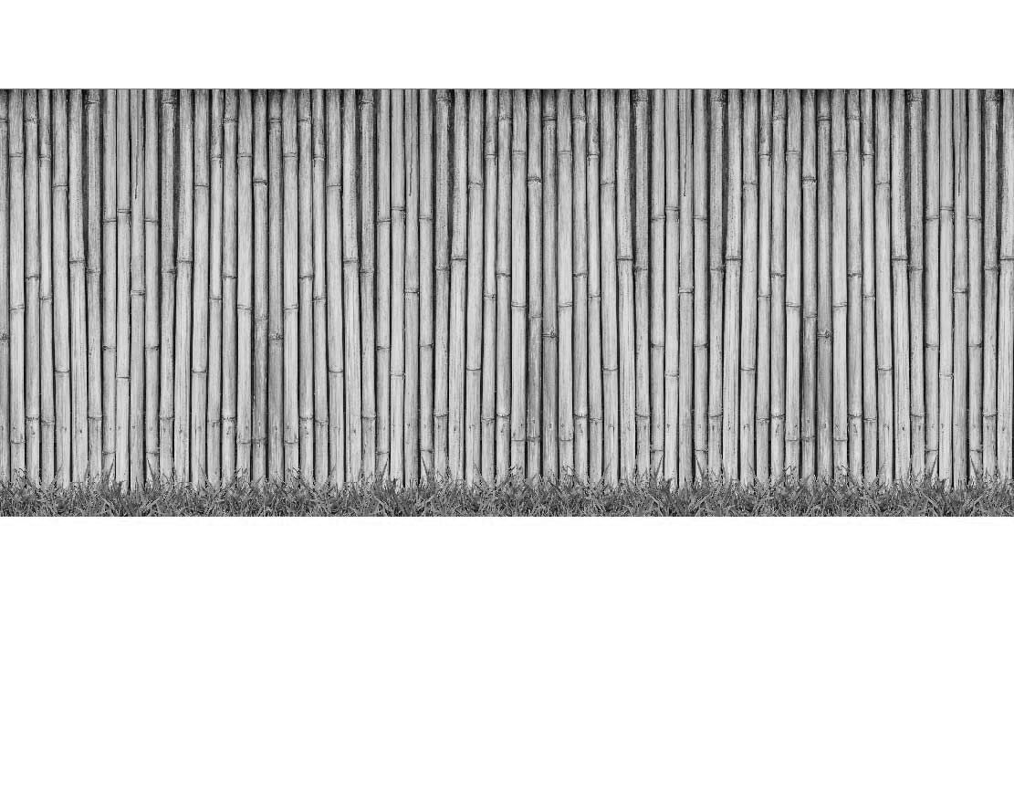 Ansicht des Duschrückwand-Motivs Bambus und Wiese 571 schwarz-weiß