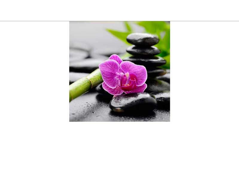 Nahaufnahme einer rosa Orchidee neben einem Stapel schwarzer Zen-Steine mit unscharfem Hintergrund