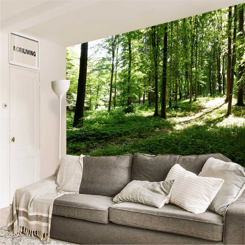 im Wohnzimmer eingebaute Wohnzimmerrückwand mit Motiv Im Wald 405