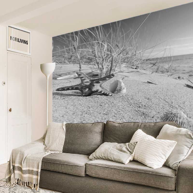 im Wohnzimmer eingebaute Wohnzimmerrückwand mit Motiv Seesterne und Muscheln am Strand 183 schwarz-weiß