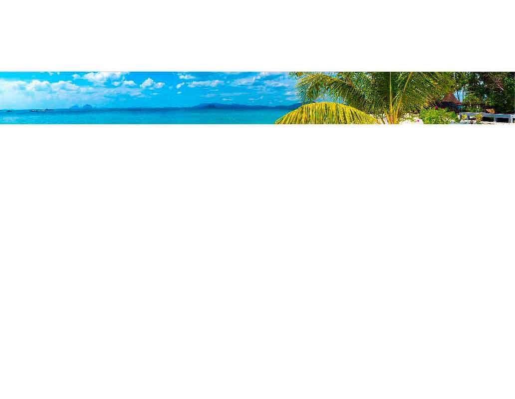 Ein malerisches Strandpanorama mit Palmen im Vordergrund und einem klaren blauen Himmel im Hintergrund. Perfekter Ort für Entspannung und Urlaub.
