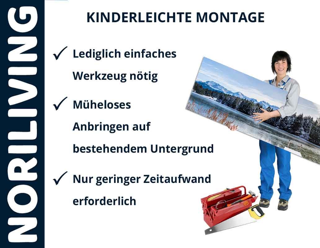 Person hält ein Landschaftsbild, daneben Montagevorteile: Einfache Werkzeuge, mühelose Anbringung, geringer Zeitaufwand. Noriliving-Logo sichtbar.