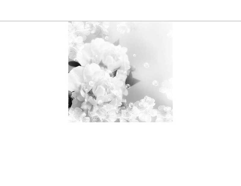 Schwarz-Weiß-Bild eines eleganten weißen Blumenarrangements mit zarten Blüten und dekorativen Perlen.