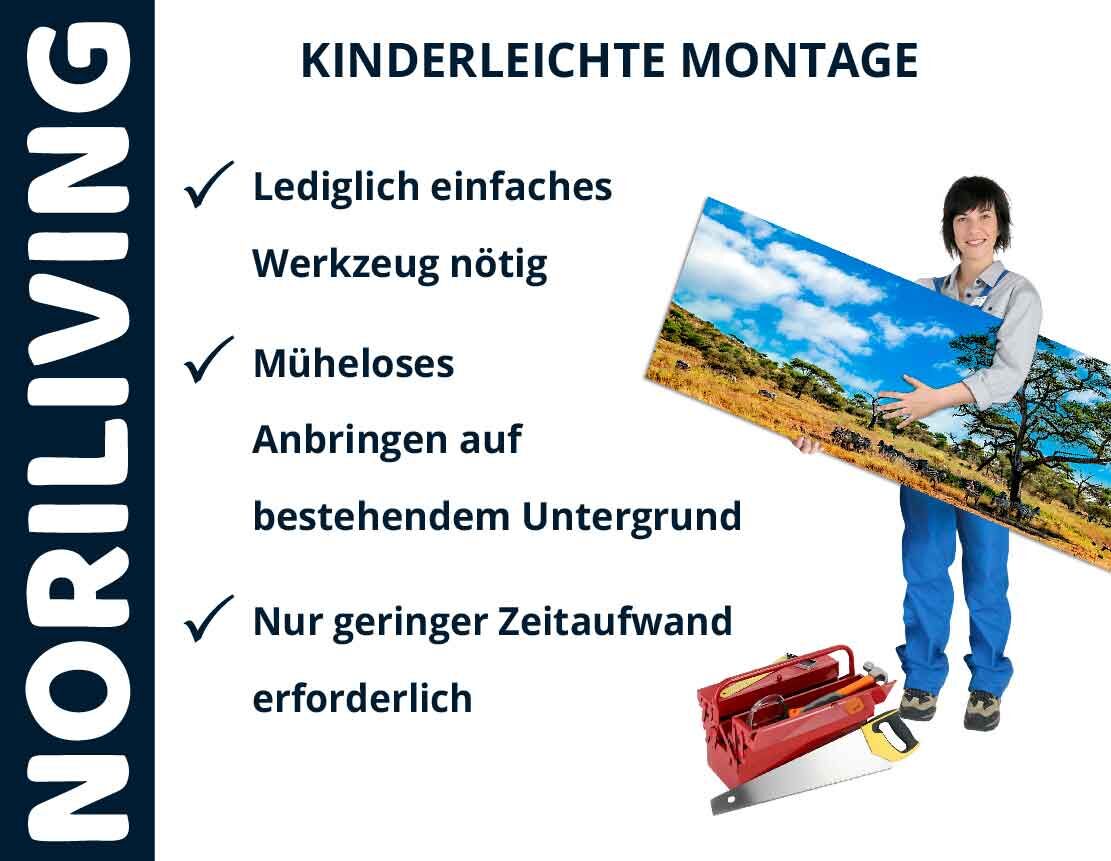 Person hält großes Bild mit Landschaftsmotiv, daneben Werkzeugkasten und Hinweise zur einfachen Montage von Noriliving