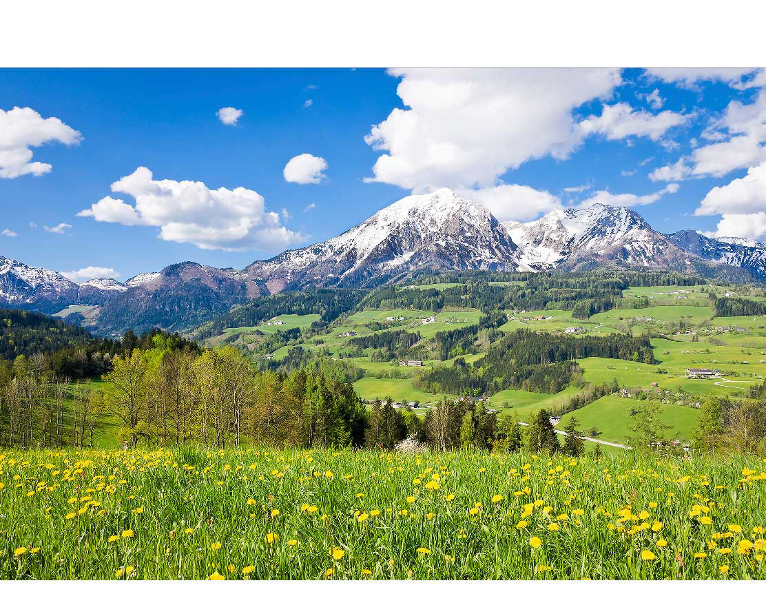 Ansicht des Badrückwand-Motivs Alpenlandschaft im Frühling 453