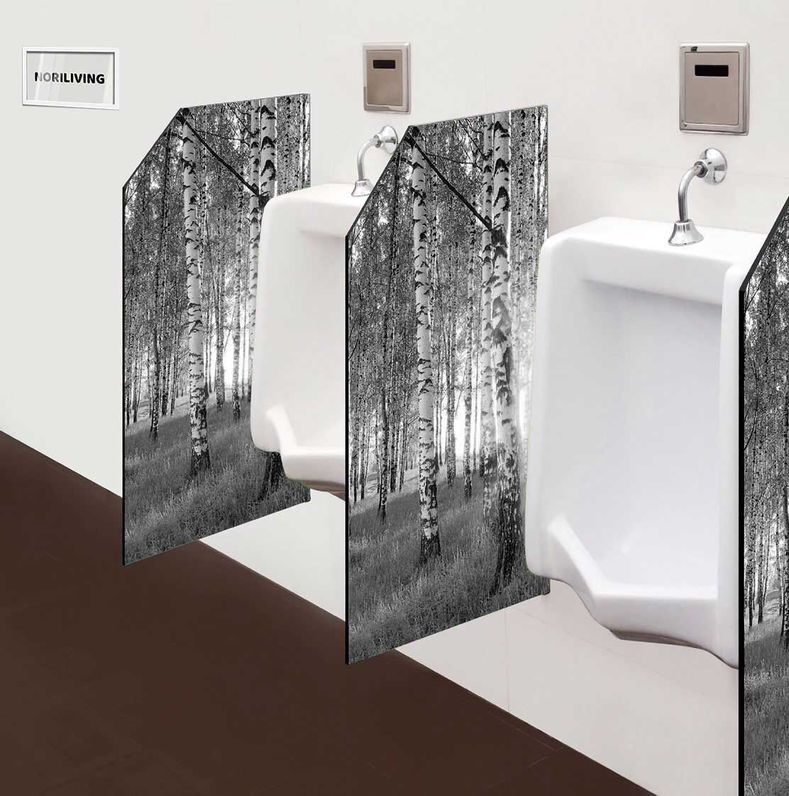 in der Toilette eingebaute Schamwand mit Motiv Birkenwald 290 schwarz-weiß