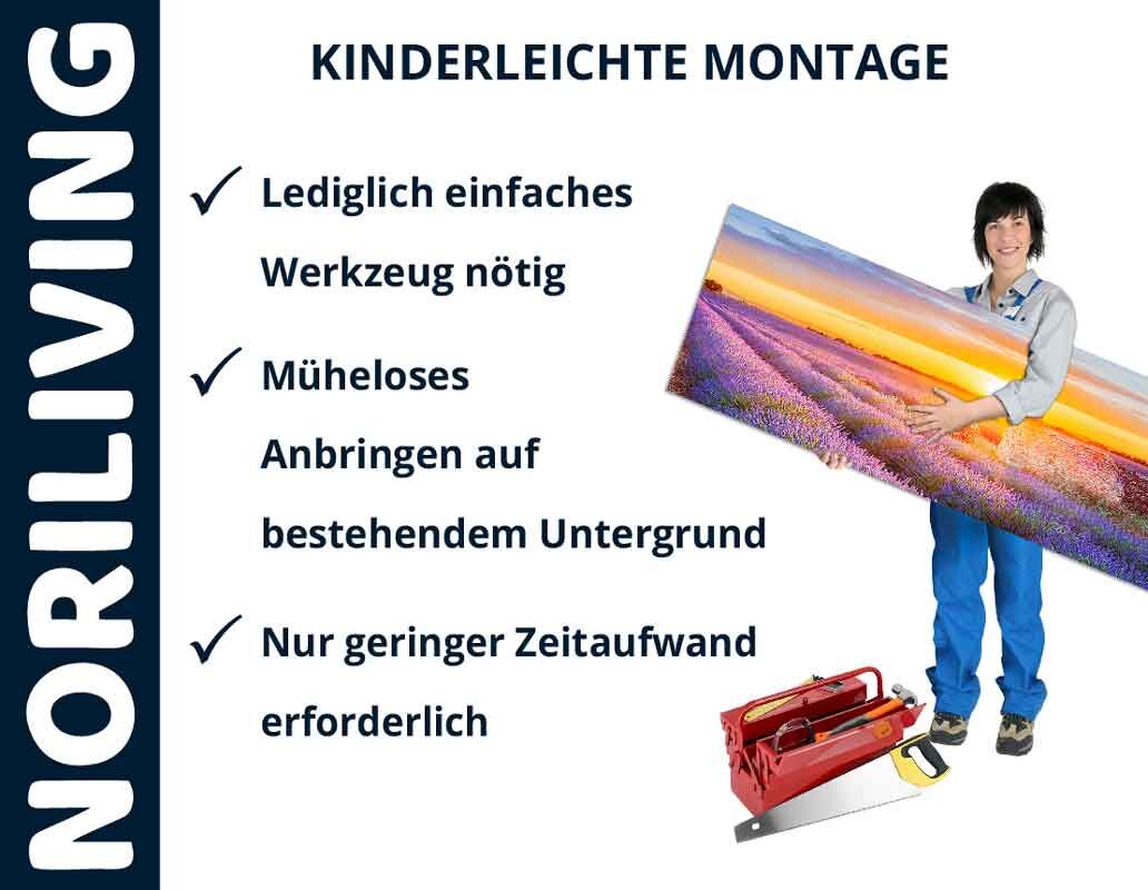 Person hält ein großes Bild in der Hand, darauf Hinweise zur einfachen Montage mit Noriliving