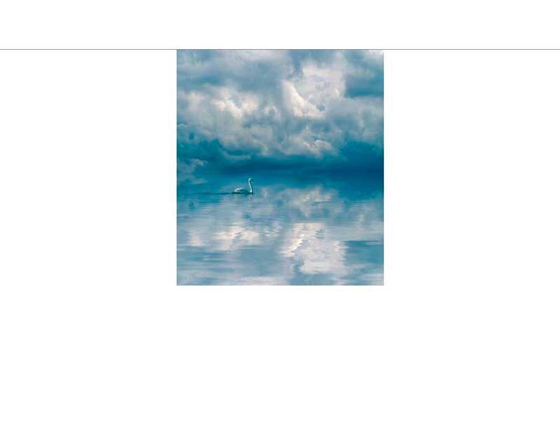 Ein einzelner Schwan schwimmt auf einem ruhigen See mit dramatischen Wolken am Himmel, die sich im Wasser spiegeln.