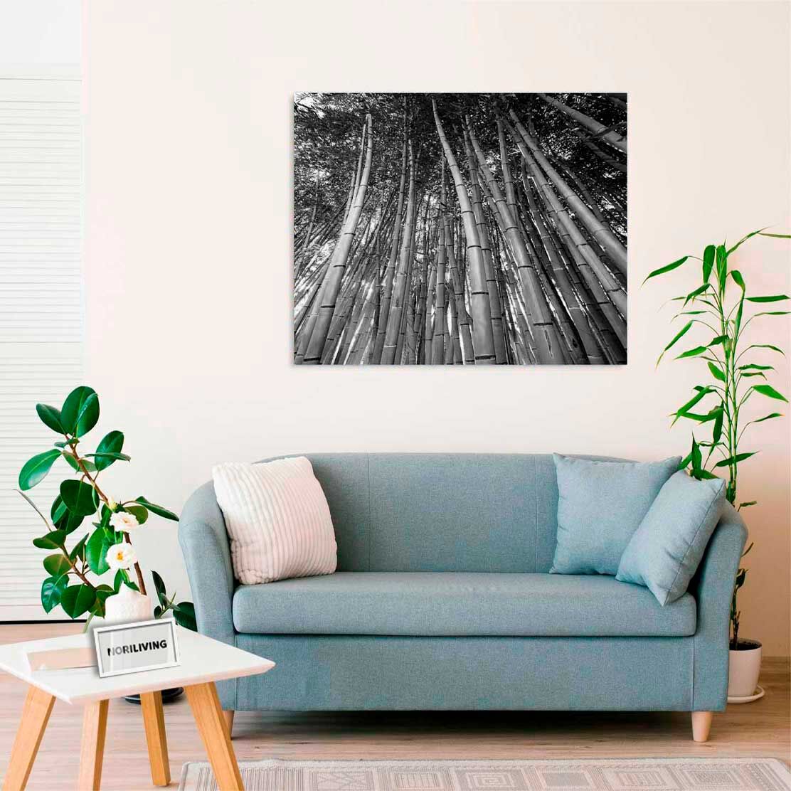 Wandbild über dem Sofa mit Motiv Bambus 726 schwarz-weiß