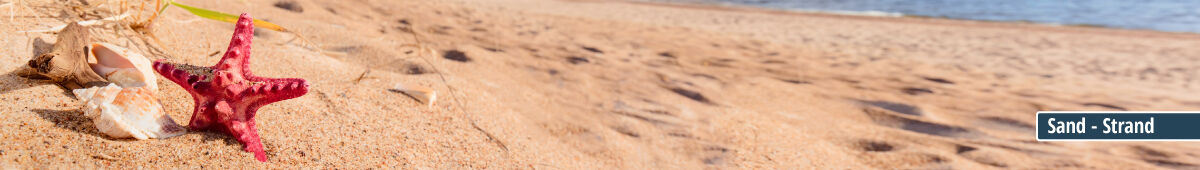Kategoriebanner Rückwand Motiv Sand-Strand