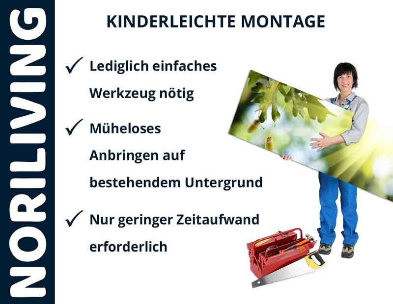 Frau hält Bild mit Naturmotiv, Text erklärt einfache Montage von NORILIVING mit wenig Werkzeug und Zeitaufwand