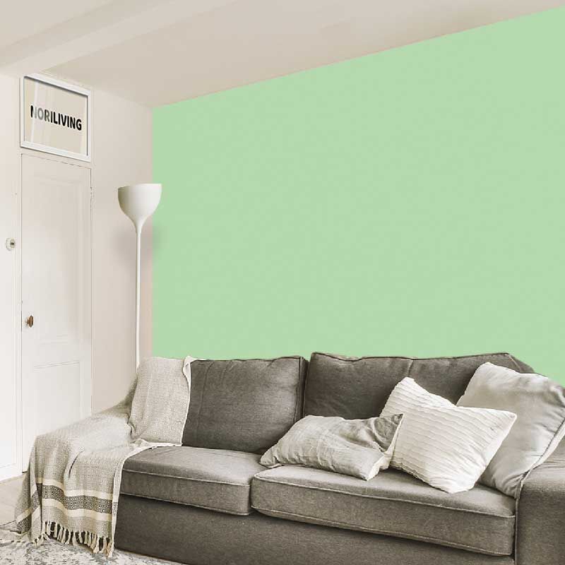 im Wohnzimmer eingebaute Wohnzimmerrückwand mit Motiv Unifarbe Grün 2320