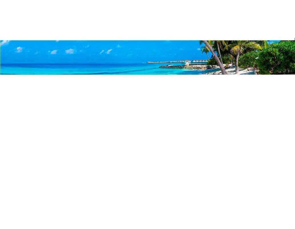 Ein Panorama eines tropischen Strandes mit Palmen, türkisem Wasser und blauem Himmel